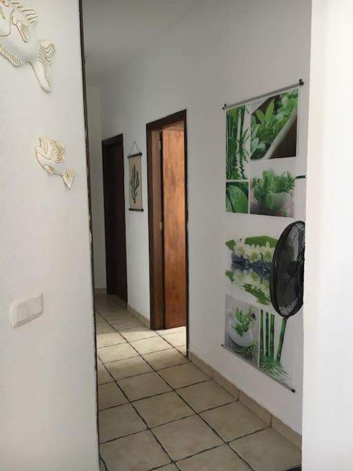 Apartamento Playero Privado Wifi- Morrojable Morro Jable  Exteriér fotografie